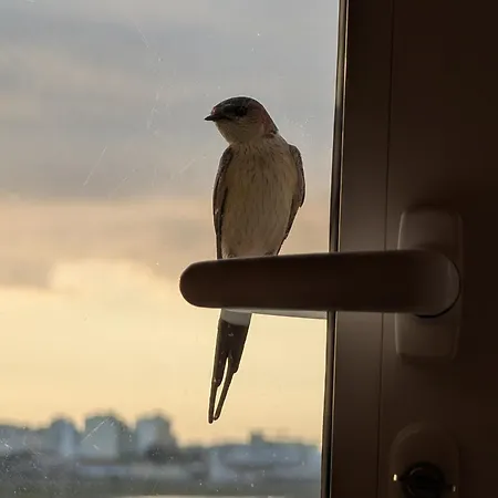 Apartmán Da Ria D *